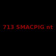 713 SMACPIG nt Music Discography