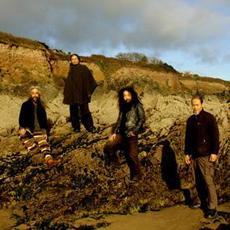 Acid Mothers Afrirampo Music Discography