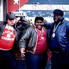 Fat Boys Music Discography