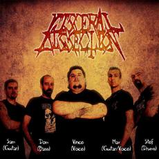 Visceral Dissection Music Discography