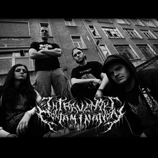 Intravenous Contamination Music Discography