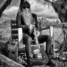 Billy Gibbons and The BFG's Music Discography
