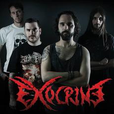 Exocrine Music Discography