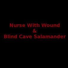 Nurse With Wound & Blind Cave Salamander Music Discography