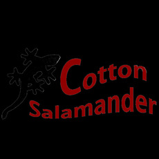 Cotton Salamander Music Discography
