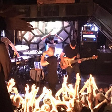 They Seem Like Owls Music Discography