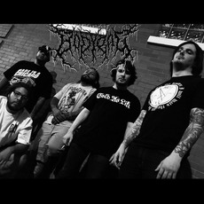 Bodybag Music Discography