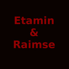 Etamin & Raimse Music Discography
