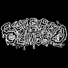 Severed Limbs Music Discography
