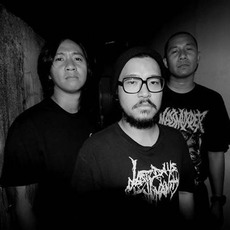 Ecchymosis Music Discography