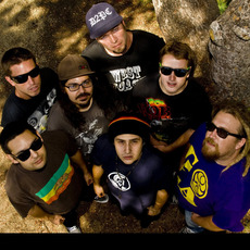 Fortunate Youth Music Discography