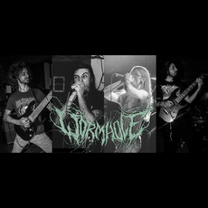 Wormhole Music Discography