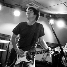 The Dean Ween Group Music Discography