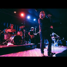 Mark Lanegan Band Music Discography