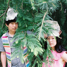 Dustin Wong & Takako Minekawa Music Discography