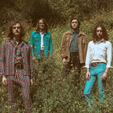 Triptides Music Discography