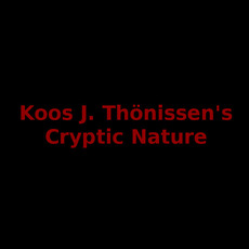 Koos J. Thonissen's Cryptic Nature Music Discography