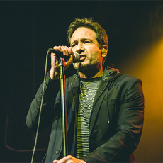 David Duchovny Music Discography