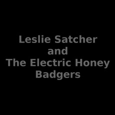 Leslie Satcher and The Electric Honey Badgers Music Discography