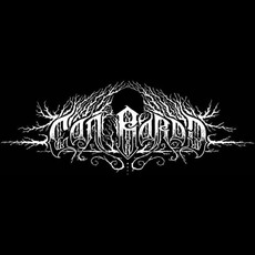 Cân Bardd Music Discography