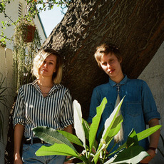 ANMLPLNET Music Discography