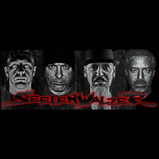 SeelenWalzer Music Discography