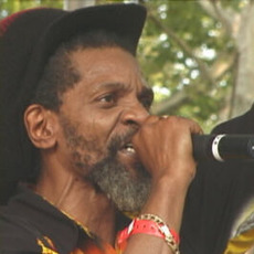 Jah Shaka meets The Revolutionaries Music Discography