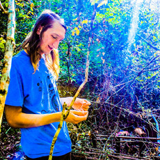 Axxa / Abraxas Music Discography