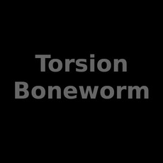 Torsion Boneworm Music Discography
