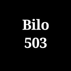 Bilo 503 Music Discography