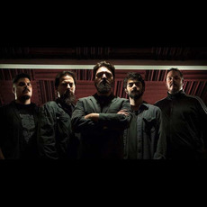 Owl Company Music Discography