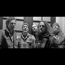 Built to Spill Caustic Resin Music Discography