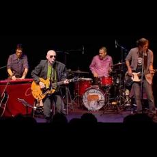 Graham Parker & The Figgs Music Discography