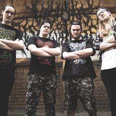 Visions of Disfigurement Music Discography