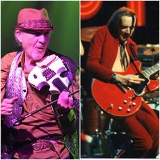 David Cross & Peter Banks Music Discography