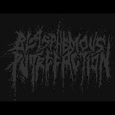 Blasphemous Putrefaction Music Discography