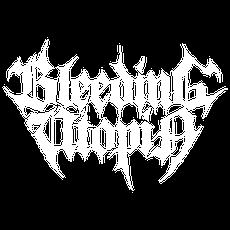 Bleeding Utopia Music Discography