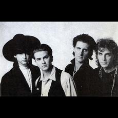 Wire Train Music Discography