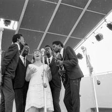 Barbara Dane and The Chambers Brothers Music Discography