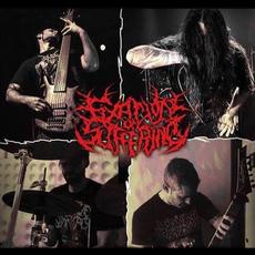 Fixation on Suffering Music Discography