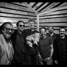 Rova & Nels Cline Singers Music Discography
