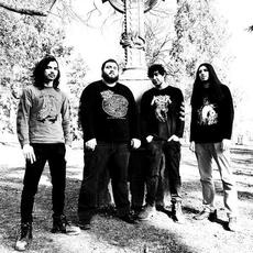 Coffin Rot Music Discography
