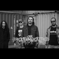 Brood of Hatred Music Discography