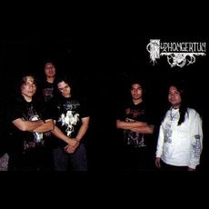 Pyphomgertum Music Discography