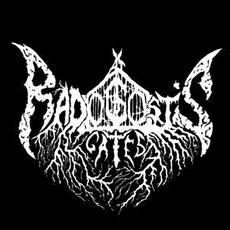 At Radogost's Gates Music Discography