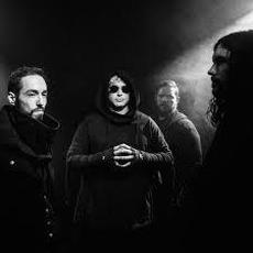 Designer Disguise Music Discography