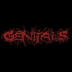 Genitals Music Discography