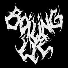 Boiling Lye Music Discography