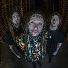 Lines of Loyalty Music Discography