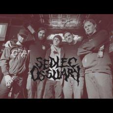 Sedlec Ossuary Music Discography